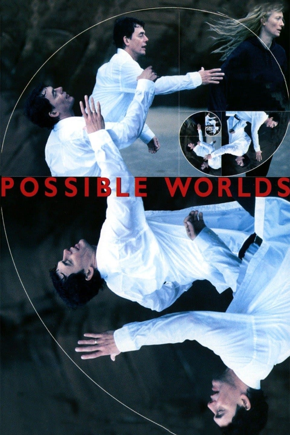 Постер Possible Worlds
